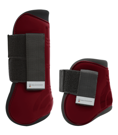 Pro Tendon rubinowe.png