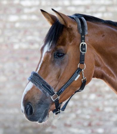Elegant halter czarny 2.jpg