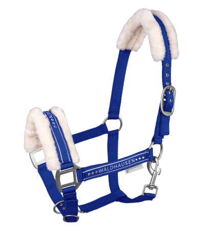 Elegant szafirowy niebieski 1.png