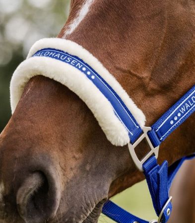 Elegant szafirowy niebieski 3.jpg