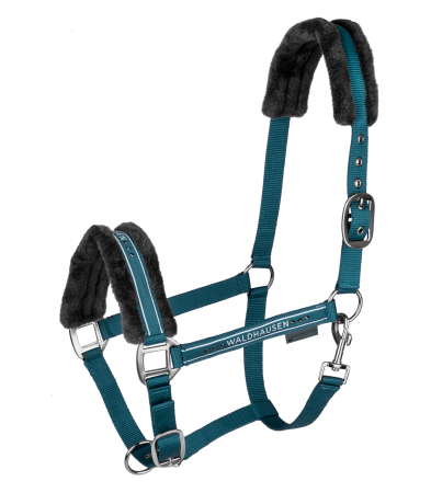 Elegant petrol 1.png