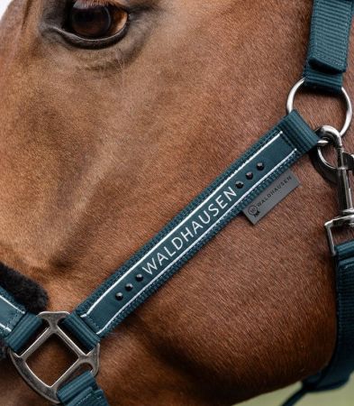 Elegant petrol 3.jpg