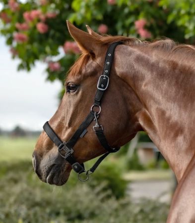 Gloomy czarny 3 — kopia.jpg