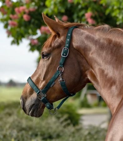 Gloomy zielony 2.jpg