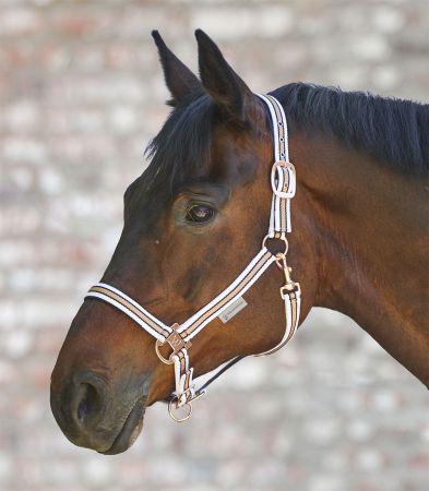 Shine Halter 2.jpg