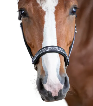 Athletic grafit-czarny 5.png