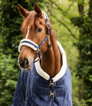 Exclusive granat 3.jpg