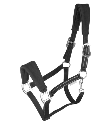 Przejdź do produktu Kantar WALDHAUSEN Alcantara czarny 