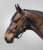Little Horse czarny 1.png