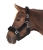 Cozy czarny 2.png