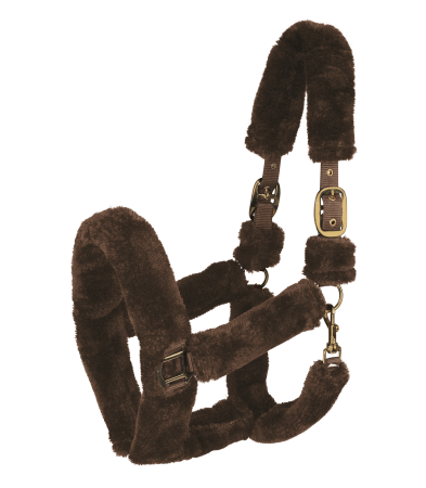 Cozy braz.png