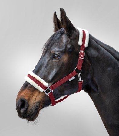 First Halter bordowy 2.png
