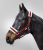 First Halter bordowy 2.png