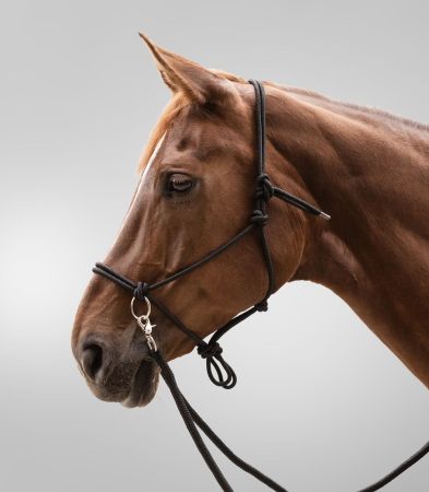 Knotted Halter with reins czarne.jpg