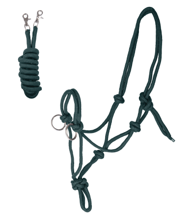 Knotted Halter with reins zielony.png