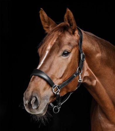 Anatomic czarne 1.jpg