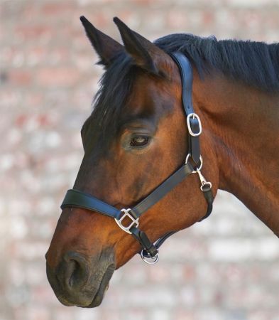 Anatomic czarne 2.jpg