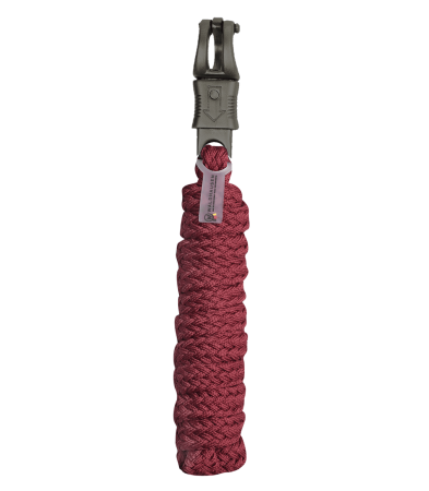 Gloomy bordo PANIC.png