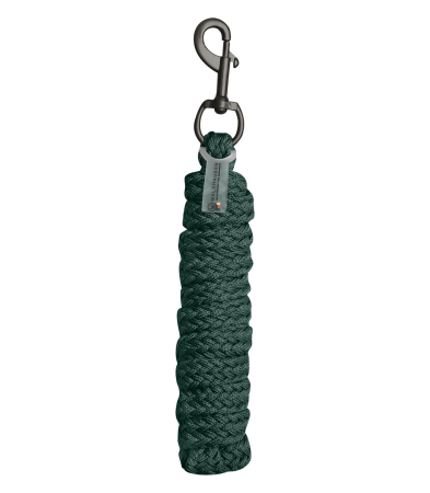 Gloomy zielony SNAP.png