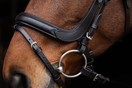 Ogłowie dla konia anatomiczne 2.jpg