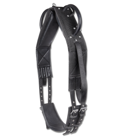 pas do woltyzerki.png