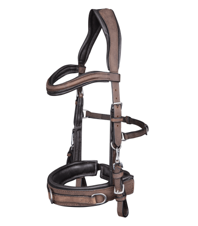 Anatomic Cavesson 1.png