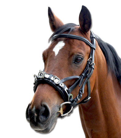 Leather Cavesson.png