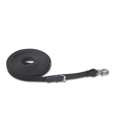 LPO-compliant lunge reins.png