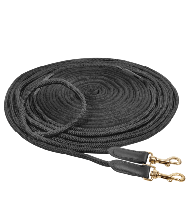 Double Lunge Line 1.png