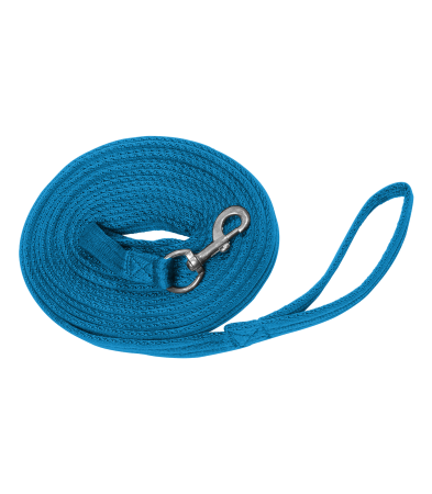 GRIFFY niebieska.png