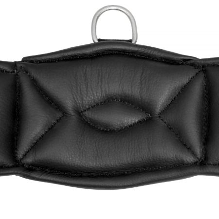 ProfileSoft elastic 4.jpg