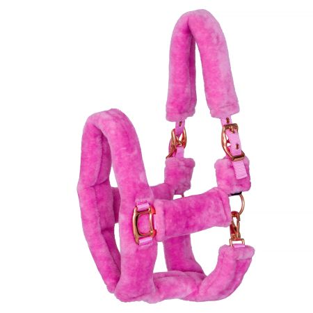 Teddy RoseGold róz 1.jpg