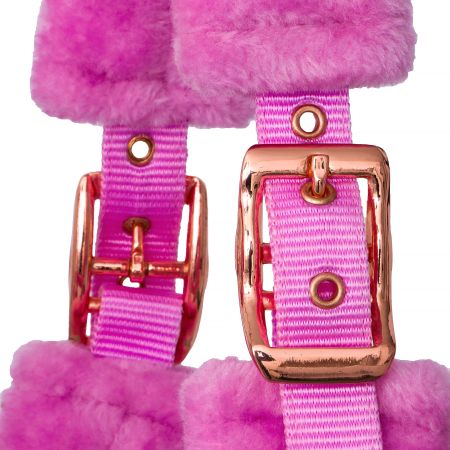 Teddy RoseGold róz 3.jpg