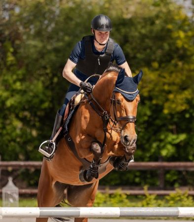 P24 Max 5.jpg