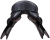 apollon 4.png