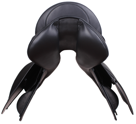 DANAE 4,.png
