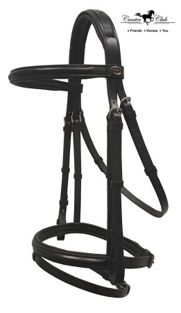 ANGLICA NOVA czarny 1.jpg