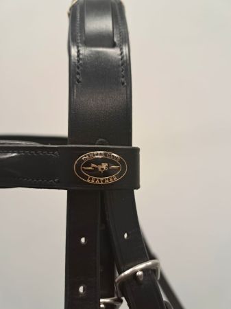 ANGLICA NOVA czarny 2.jpg