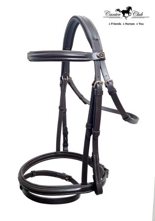 ANGLICA nova brąz 1.jpg