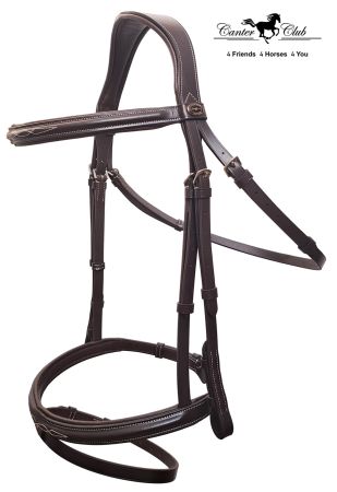 Competitio A brąz.jpg