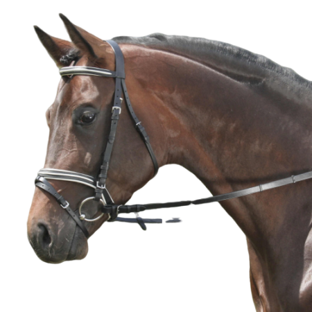 Ogłowie DAW-MAG sportowe podszywane z wypustkami bez wodzy