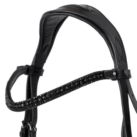 EQ.QUEEN Giant 2.jpg