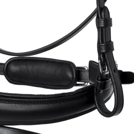 EQ.QUEEN Giant 6.jpg