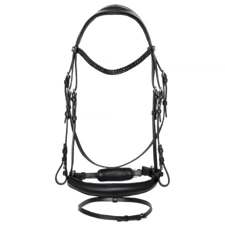 EQ.QUEEN Giant 1.jpg