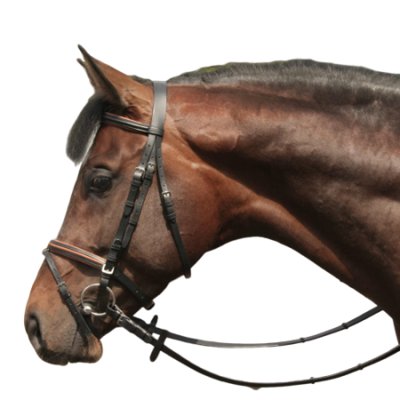 Ogłowie DAW-MAG sportowe podszywane z wypustkami bez wodzy