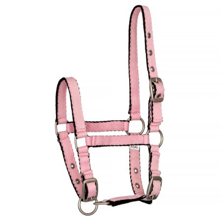 Kantar START FoalStrong 1.jpg