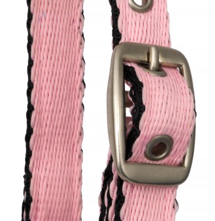 Kantar START FoalStrong 3.jpg