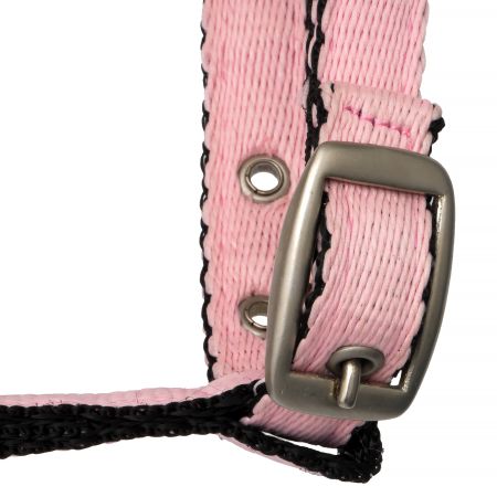 Kantar START FoalStrong 4.jpg