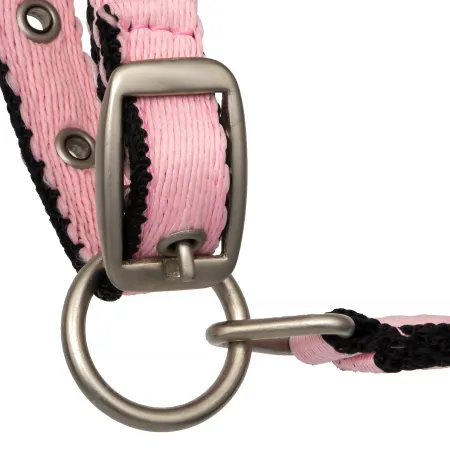 Kantar START FoalStrong 5.jpg