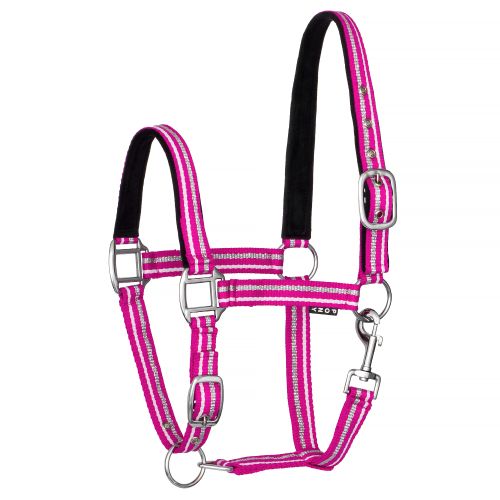 Przejdź do produktu Kantar START ZariSilverMini różowy